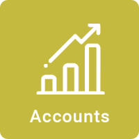 accounts icon